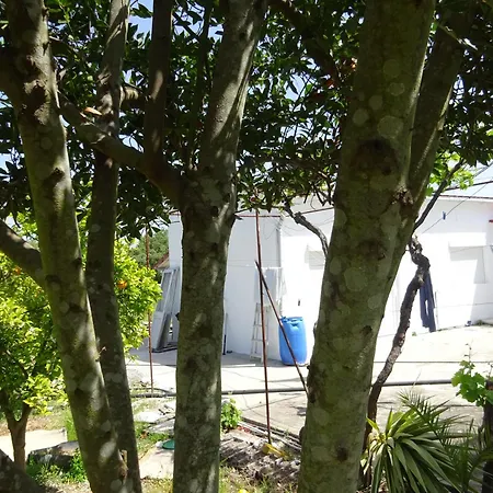 Casa Do Pinheiro